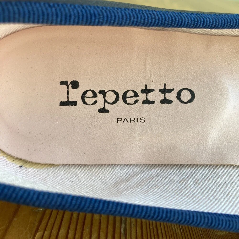 Repetto elegant pointed
